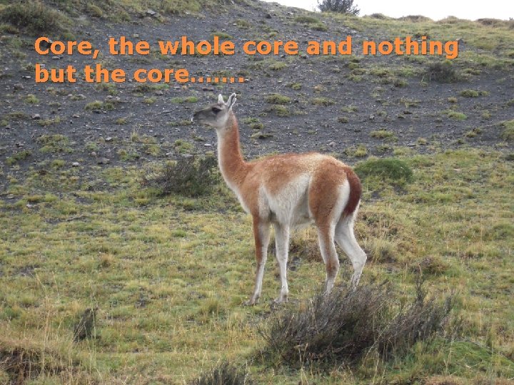 Core, the whole core and nothing but the core……. 