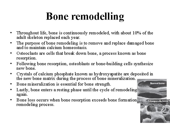 Bone remodelling • Throughout life, bone is continuously remodeled, with about 10% of the Bone remodelling • Throughout life, bone is continuously remodeled, with about 10% of the