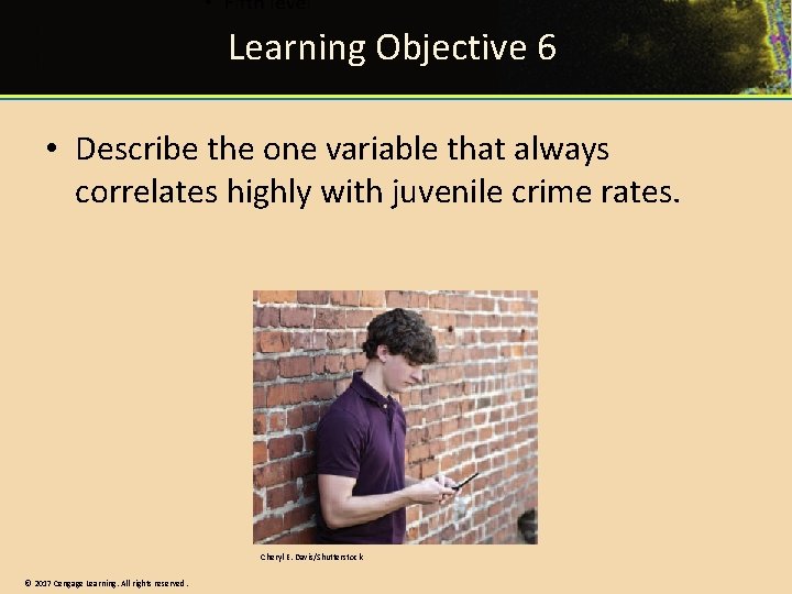 Learning Objective 6 • Describe the one variable that always correlates highly with juvenile