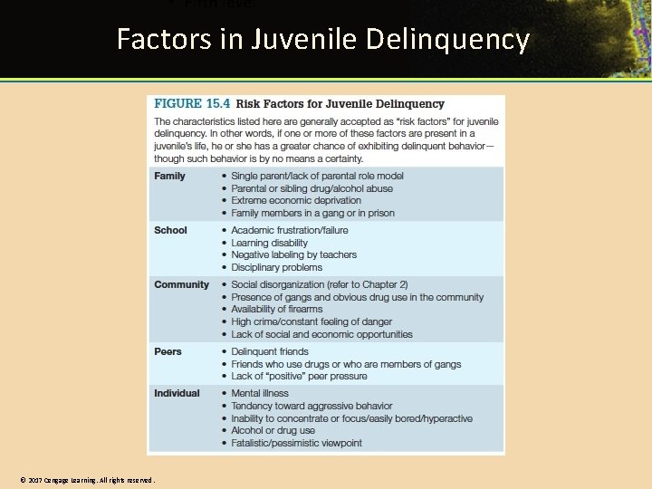 Factors in Juvenile Delinquency © 2017 Cengage Learning. All rights reserved. 