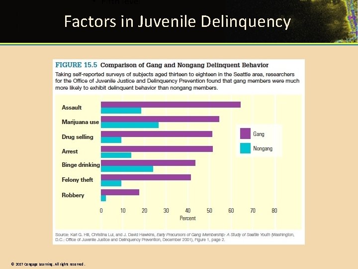 Factors in Juvenile Delinquency © 2017 Cengage Learning. All rights reserved. 