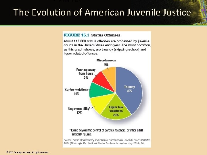 The Evolution of American Juvenile Justice © 2017 Cengage Learning. All rights reserved. 