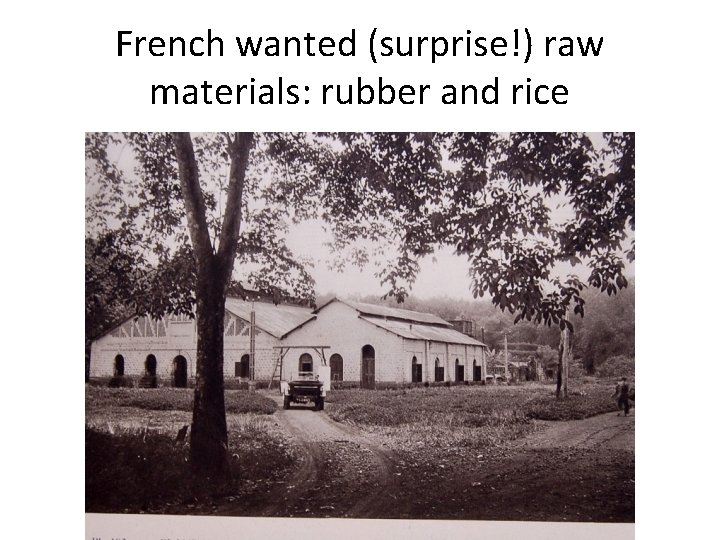 French wanted (surprise!) raw materials: rubber and rice 