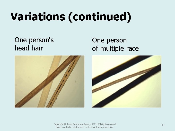 Variations (continued) One person's head hair One person of multiple race Copyright © Texas