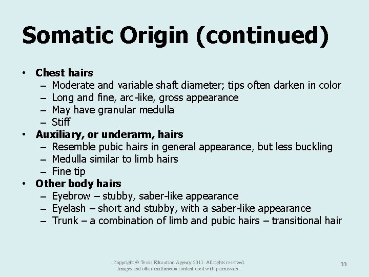 Somatic Origin (continued) • Chest hairs – Moderate and variable shaft diameter; tips often