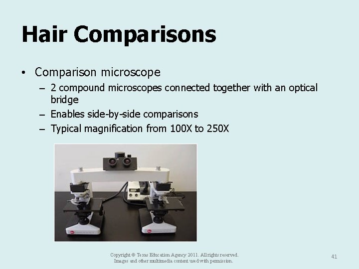 Hair Comparisons • Comparison microscope – 2 compound microscopes connected together with an optical