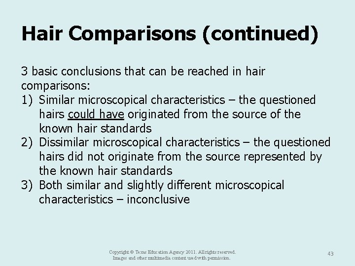 Hair Comparisons (continued) 3 basic conclusions that can be reached in hair comparisons: 1)