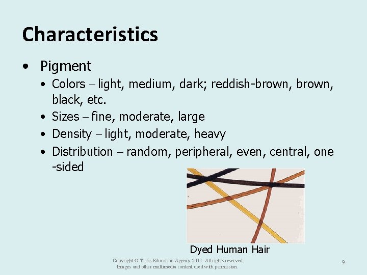 Characteristics • Pigment • Colors – light, medium, dark; reddish-brown, black, etc. • Sizes