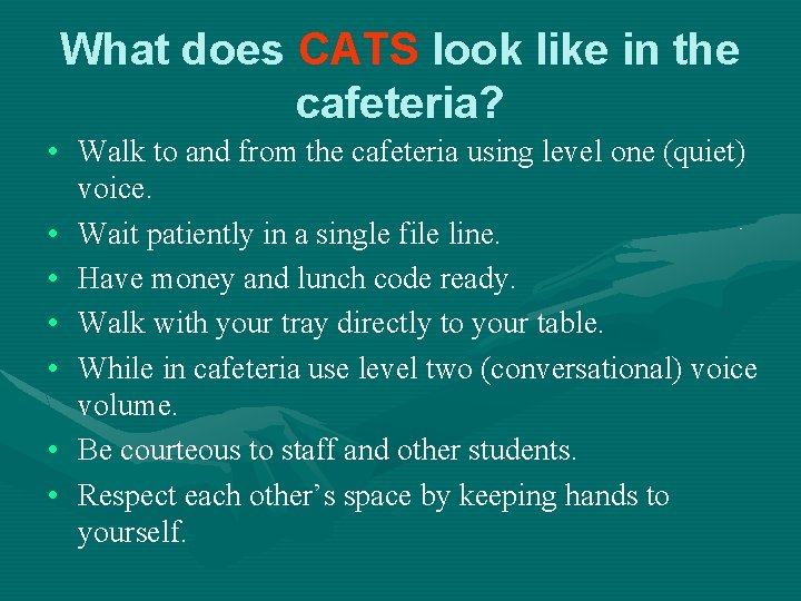 What does CATS look like in the cafeteria? • Walk to and from the