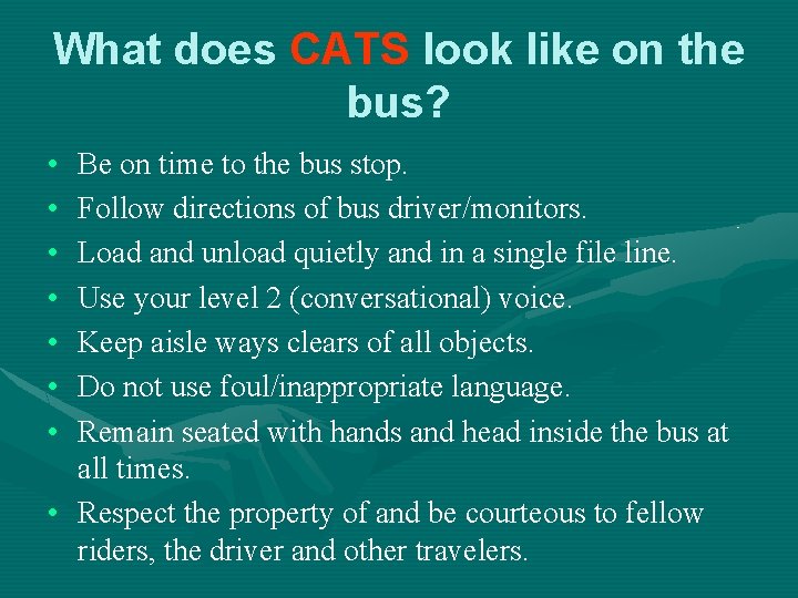 What does CATS look like on the bus? • • Be on time to