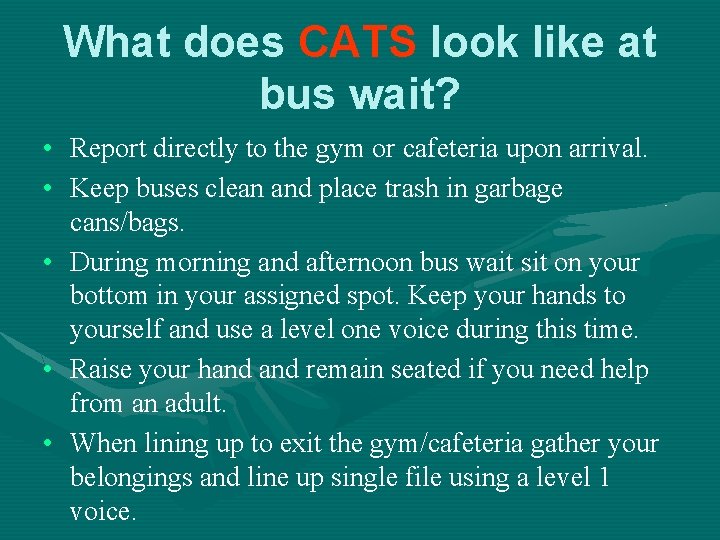 What does CATS look like at bus wait? • Report directly to the gym