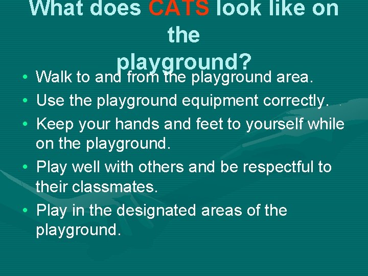 What does CATS look like on the playground? • Walk to and from the