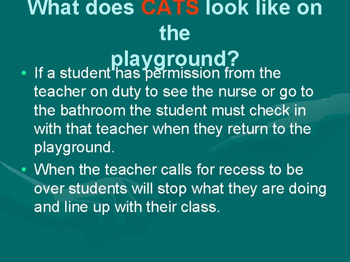 What does CATS look like on the playground? • If a student has permission