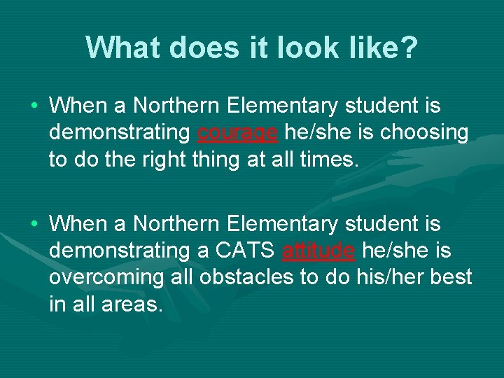 What does it look like? • When a Northern Elementary student is demonstrating courage