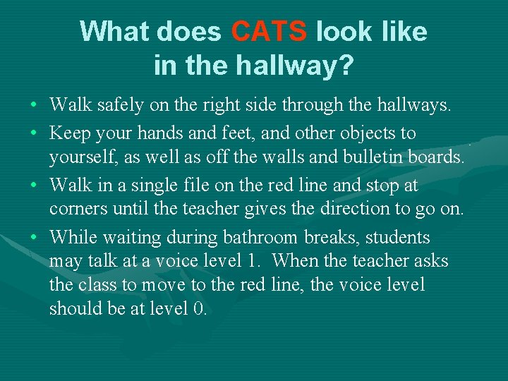 What does CATS look like in the hallway? • Walk safely on the right