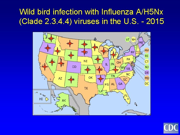 Wild bird infection with Influenza A/H 5 Nx (Clade 2. 3. 4. 4) viruses