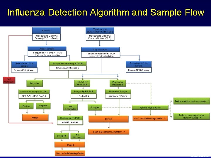 Influenza Detection Algorithm and Sample Flow 