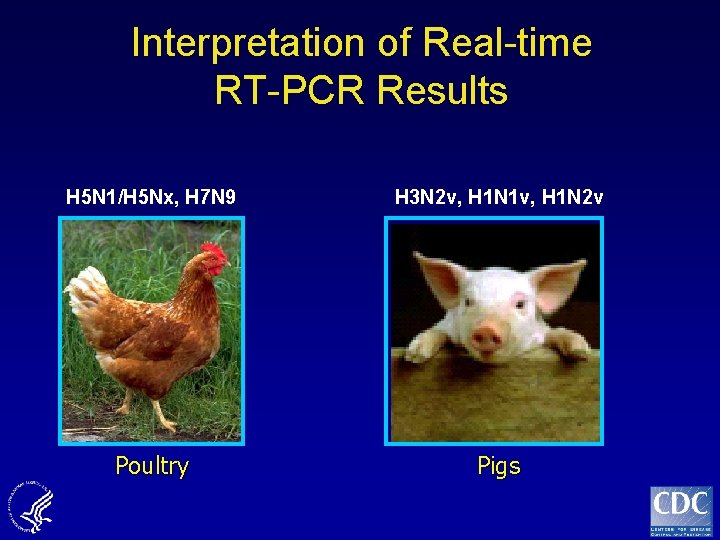 Interpretation of Real-time RT-PCR Results H 5 N 1/H 5 Nx, H 7 N