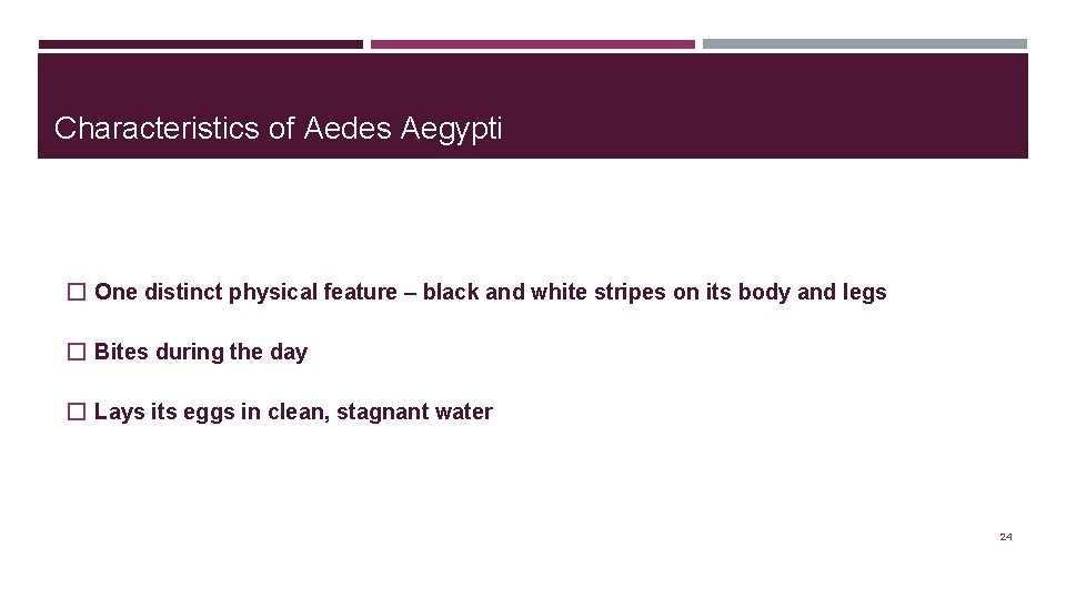 Characteristics of Aedes Aegypti � One distinct physical feature – black and white stripes