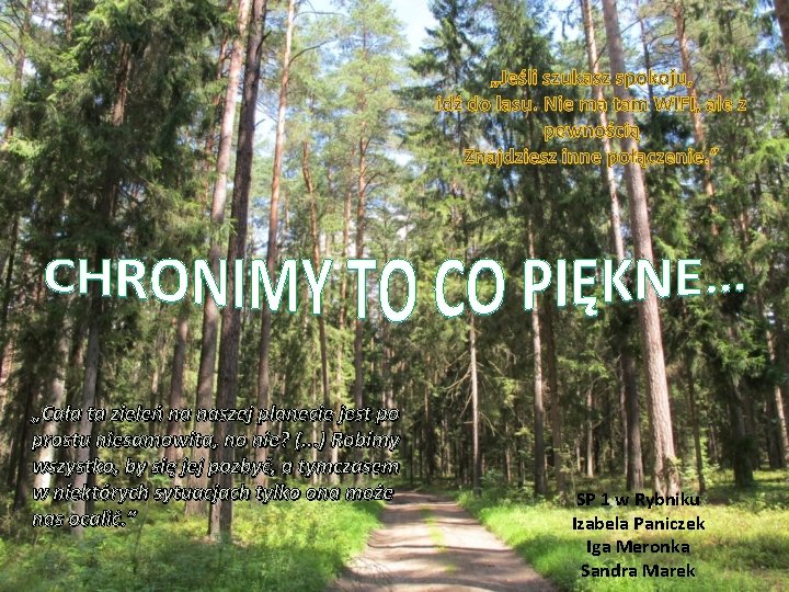„Jeśli szukasz spokoju, idź do lasu. Nie ma tam WIFI, ale z pewnością Znajdziesz
