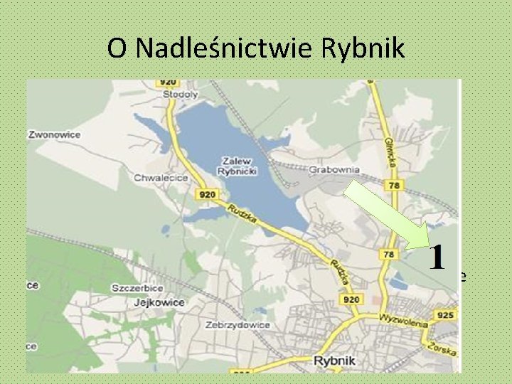 O Nadleśnictwie Rybnik • Nadleśnictwo Rybnik należy do Regionalnej Dyrekcji Lasów Państwowych w Katowicach
