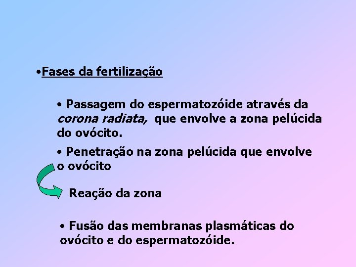  • Fases da fertilização • Passagem do espermatozóide através da corona radiata, que