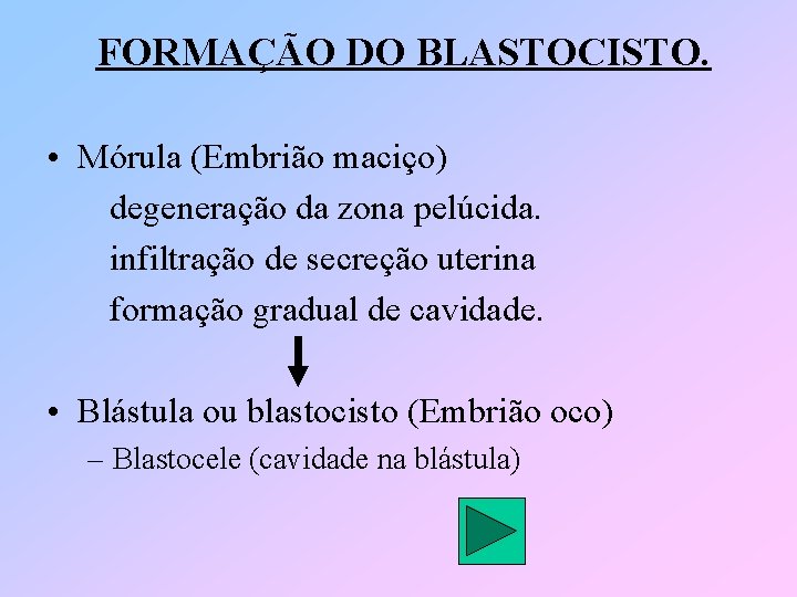 FORMAÇÃO DO BLASTOCISTO. • Mórula (Embrião maciço) degeneração da zona pelúcida. infiltração de secreção