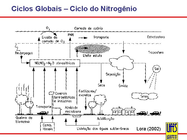 Ciclos Globais – Ciclo do Nitrogênio Lora (2002) 