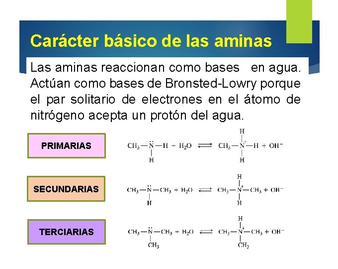 Carácter básico de las aminas Las aminas reaccionan como bases en agua. Actúan como