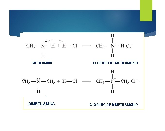 METILAMINA DIMETILAMINA CLORURO DE METILAMONIO CLORURO DE DIMETILAMONIO 