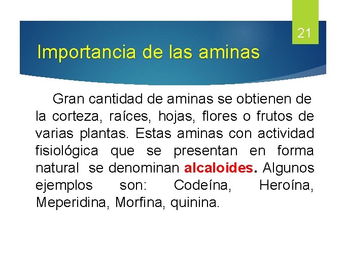 21 Importancia de las aminas Gran cantidad de aminas se obtienen de la corteza,