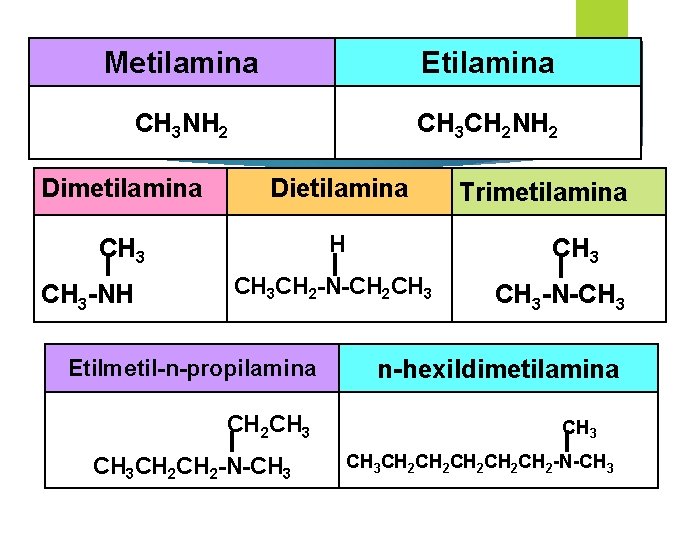 Metilamina Etilamina CH 3 NH 2 CH 3 CH 2 NH 2 Dimetilamina Dietilamina