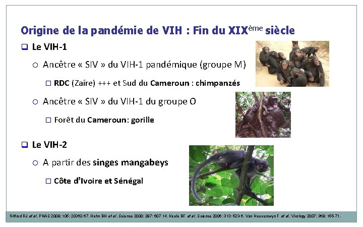 Origine de la pandémie de VIH : Fin du XIXème siècle q Le VIH-1 Origine de la pandémie de VIH : Fin du XIXème siècle q Le VIH-1