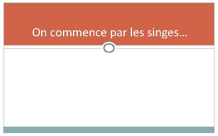 On commence par les singes… On commence par les singes…