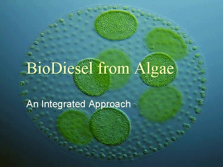 Bio. Diesel from Algae An Integrated Approach 