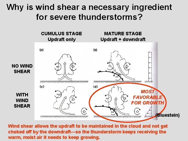 Why is wind shear a necessary ingredient for severe thunderstorms? CUMULUS STAGE Updraft only
