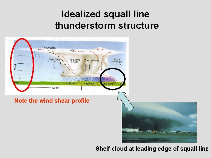 Idealized squall line thunderstorm structure Note the wind shear profile Shelf cloud at leading