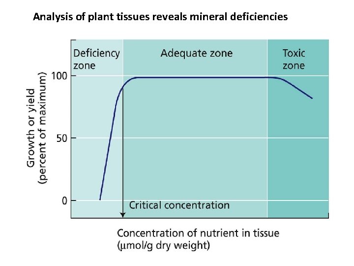 Analysis of plant tissues reveals mineral deficiencies 