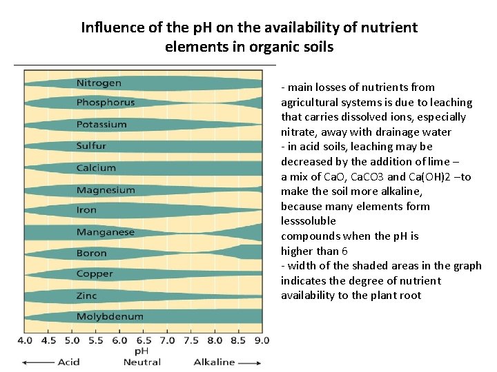 Influence of the p. H on the availability of nutrient elements in organic soils