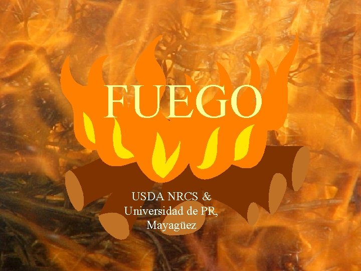 FUEGO USDA NRCS & Universidad de PR, Mayagüez 