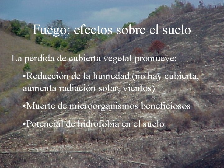 Fuego: efectos sobre el suelo La pérdida de cubierta vegetal promueve: • Reducción de