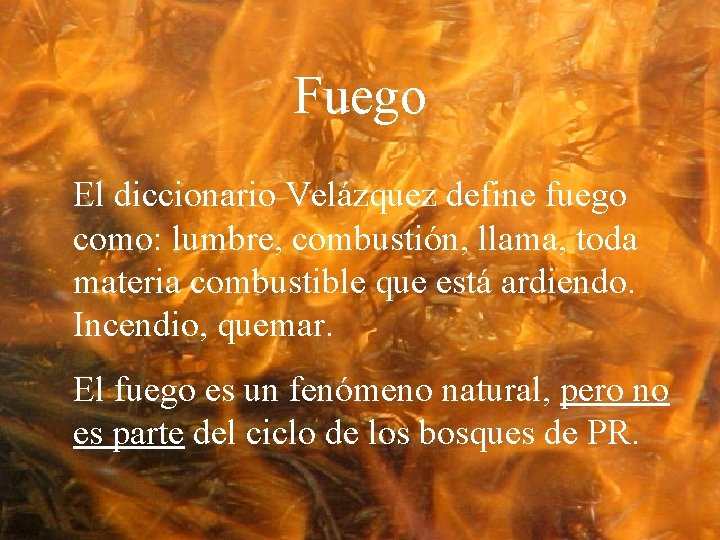 Fuego El diccionario Velázquez define fuego como: lumbre, combustión, llama, toda materia combustible que