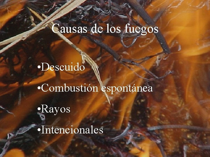 Causas de los fuegos • Descuido • Combustión espontánea • Rayos • Intencionales 