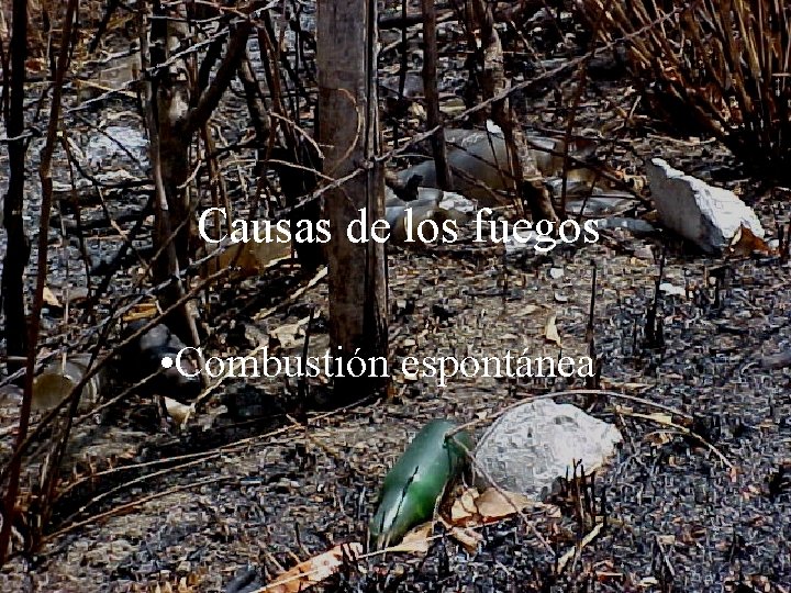 Causas de los fuegos • Combustión espontánea 