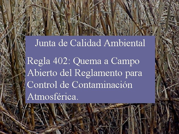 Junta de Calidad Ambiental Regla 402: Quema a Campo Abierto del Reglamento para Control