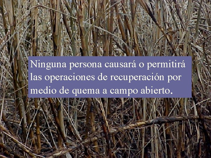 Ninguna persona causará o permitirá las operaciones de recuperación por medio de quema a