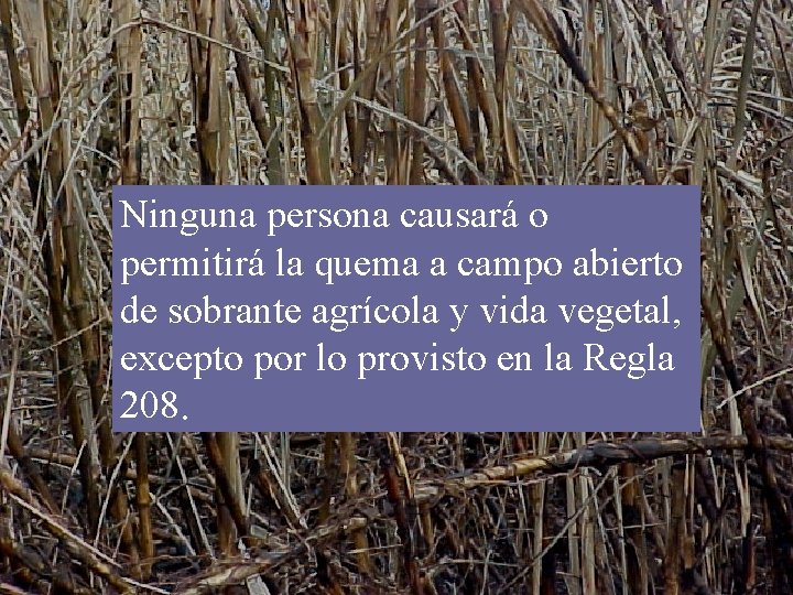 Ninguna persona causará o permitirá la quema a campo abierto de sobrante agrícola y