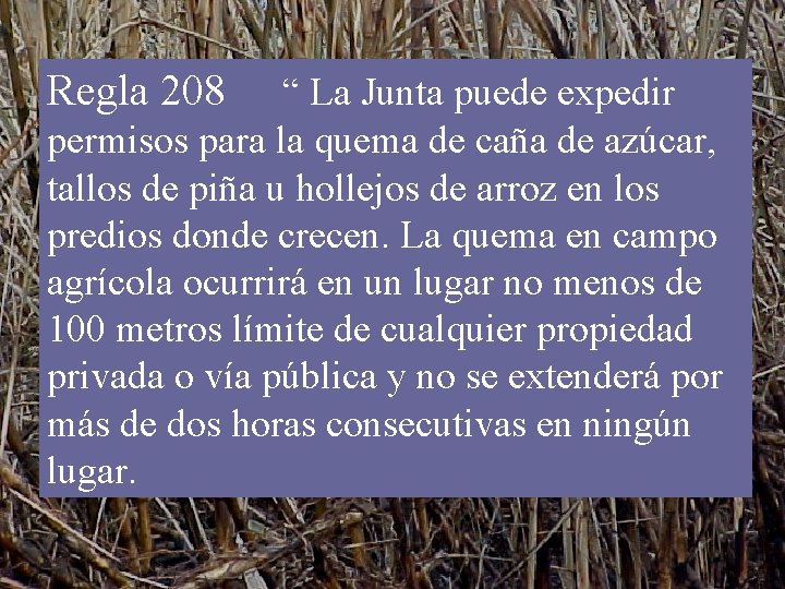 Regla 208 “ La Junta puede expedir permisos para la quema de caña de