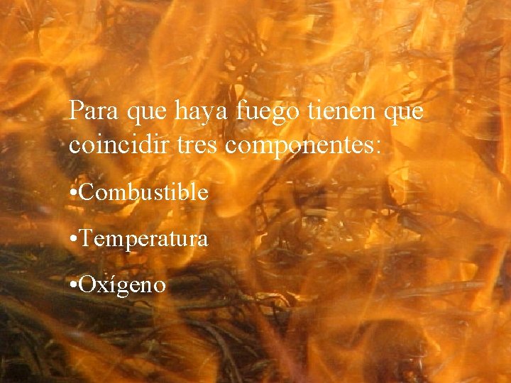 Para que haya fuego tienen que coincidir tres componentes: • Combustible • Temperatura •