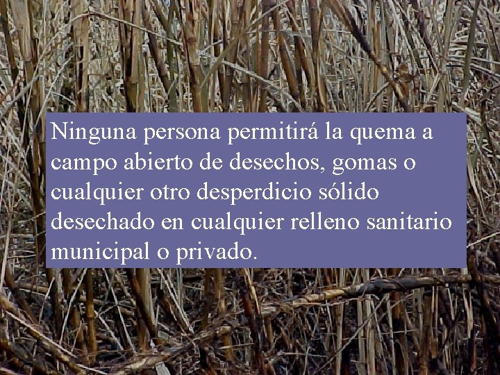 Ninguna persona permitirá la quema a campo abierto de desechos, gomas o cualquier otro